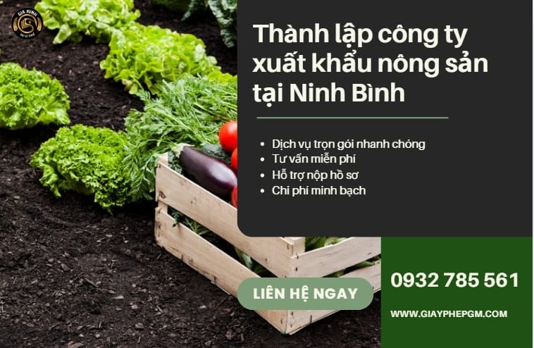 Hồ sơ thành lập công ty xuất khẩu nông sản tại Ninh Bình