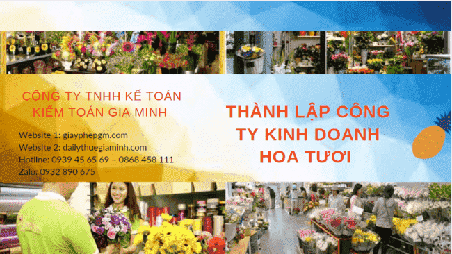 Hồ sơ thành lập công ty hoa tươi tại Hải Phòng