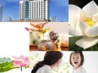 Cần thành lập doanh nghiệp tư vấn tài chính tại Cần Thơ
