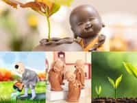 DỊCH VỤ THÀNH LẬP CÔNG TY CỔ PHẦN TRỌN GÓI GIÁ RẺ TẠI KHÁNH HÒA 13 Dịch vụ thành lập công ty cổ phần trọn gói giá rẻ tại Khánh Hòa
