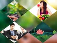 DỊCH VỤ THÀNH LẬP CÔNG TY CỔ PHẦN TRỌN GÓI GIÁ RẺ TẠI KHÁNH HÒA 10 Dịch vụ thành lập công ty cổ phần giá rẻ tại Khánh Hòa