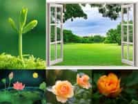 Dịch vụ thành lập công ty cổ phần trọn gói giá rẻ tại quảng ngãi 10 Dịch vụ thành lập công ty cổ phần giá rẻ tại Quảng Ngãi