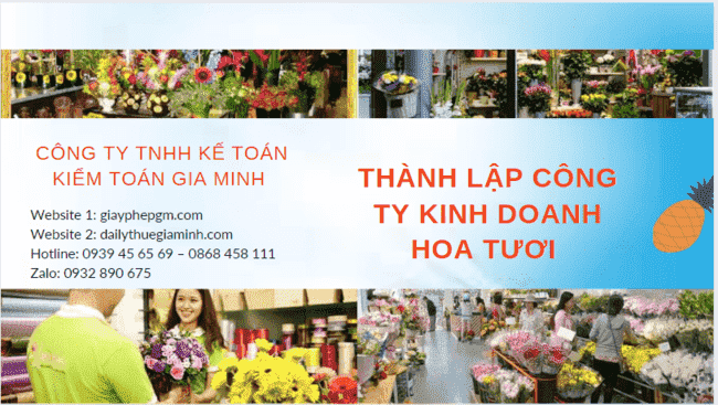 Hồ sơ thành lập công ty kinh doanh hoa tươi tại Hòa Bình