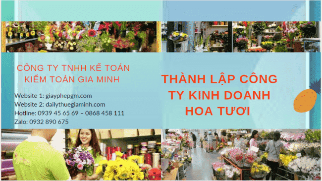 Hồ sơ thành lập công ty kinh doanh hoa tươi tại Phú Yên
