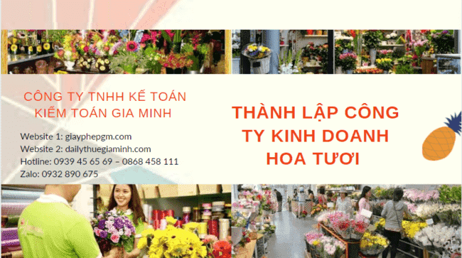Hồ sơ thành lập công ty kinh doanh hoa tươi tại Trà Vinh