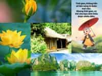 Muốn thành lập doanh nghiệp tư vấn tài chính tại Cần Thơ