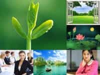 Thành lập công ty cổ phần uy tín tại Bạc Liêu