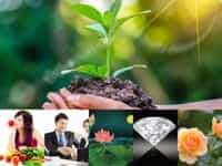 Thành lập công ty cổ phần uy tín tại Long An