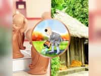 Thành lập công ty cổ phần uy tín tại Yên Bái