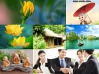 Thủ tục thành lập doanh nghiệp tư vấn tài chính tại Cần Thơ