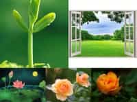 Dịch vụ thành lập công ty a-z - dịch vụ trọn gói uy tín tại thành phố hưng yên 9 Thành lập công ty cổ phần uy tín tại Thành Phố Hưng Yên