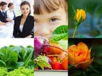 THÀNH LẬP CÔNG TY TRỌN GÓI CHẤT LƯỢNG UY TÍN NHẤT TẠI HÀ NỘI 8 Tư vấn thành lập công ty trọn gói uy tín tại Hà Nội