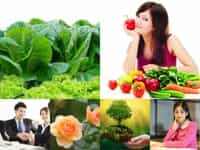THÀNH LẬP CÔNG TY TRỌN GÓI CHẤT LƯỢNG UY TÍN NHẤT TẠI QUẬN HOÀN KIẾM 9 Tư vấn thành lập công ty trọn gói uy tín tại Quận Hoàn Kiếm