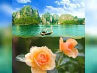 Tư vấn thủ tục thành lập công ty cổ phần tại Long An