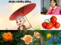 Tư vấn thủ tục thành lập công ty cổ phần tại Yên Bái