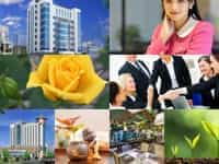 Dịch vụ tạm ngừng hoạt động kinh doanh trọn gói tại TP Hưng Yên 10 Dịch vụ tạm ngưng hoạt động công ty tại TP Hưng Yên