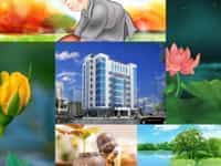 Dịch vụ tạm ngừng kinh doanh công ty tại tp đà nẵng theo quy định mới 13 Dịch vụ tạm ngừng kinh doanh cho công ty nước ngoài tại TP Đà Nẵng