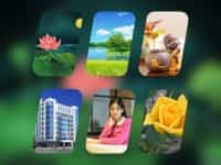 Dịch vụ tạm ngừng kinh doanh công ty tại TP Hải Phòng theo quy định mới 9 Dịch vụ tạm ngừng kinh doanh cho công ty nước ngoài tại TP Hải Phòng