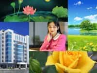 Dịch vụ tạm ngừng hoạt động kinh doanh trọn gói tại TP Hưng Yên 9 Dịch vụ tạm ngừng kinh doanh công ty nước ngoài tại TP Hưng Yên