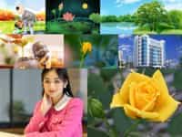 Dịch vụ tạm ngừng kinh doanh hộ cá thể uy tín tại Phú Quốc