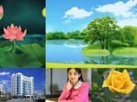 Dịch vụ tạm ngừng kinh doanh công ty tại tp đà nẵng theo quy định mới 11 Dịch vụ tạm ngừng kinh doanh nhanh tại TP Đà Nẵng