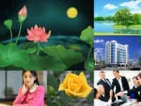 Dịch vụ tạm ngừng kinh doanh công ty tại TP Hải Phòng theo quy định mới 13 Dịch vụ tạm ngừng kinh doanh nhanh tại TP Hải Phòng