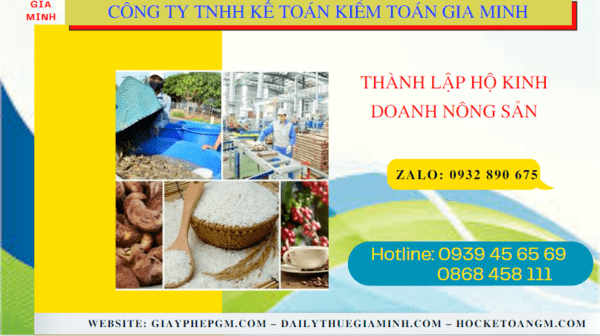 Thành lập hộ kinh doanh nông sản tại bình dương 7 Hồ sơ thành lập hộ kinh doanh nông sản tại Bình Dương