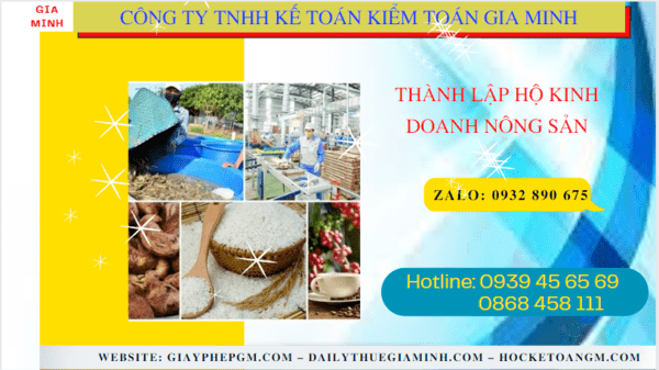Thành lập hộ kinh doanh nông sản tại đồng tháp 7 Hồ sơ thành lập hộ kinh doanh nông sản tại Đồng Tháp