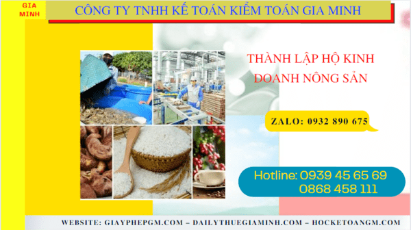 Hồ sơ thành lập hộ kinh doanh nông sản tại TP Hồ Chí Minh