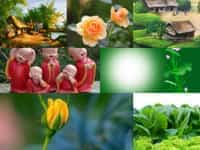 Dịch vụ tạm ngừng kinh doanh công ty tại tp đà nẵng theo quy định mới 9 Thủ tục tạm ngừng kinh doanh công ty doanh nghiệp tại tỉnh TP Đà Nẵng