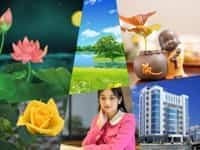 Dịch vụ tạm ngừng kinh doanh công ty tại TP Hải Phòng theo quy định mới 11 Thủ tục tạm ngừng kinh doanh tại tỉnh TP Hải Phòng