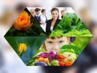 Tư vấn thành lập công ty trọn gói uy tín tại Thành Phố Thủ Đức