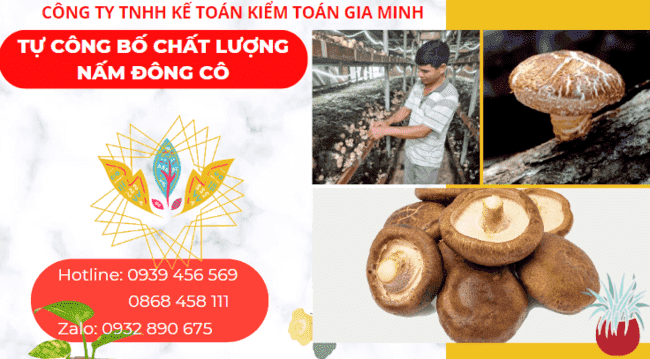 Công bố chất lượng nấm đông cô 4 Dịch vụ công bố chất lượng nấm đông cô nhập khẩu