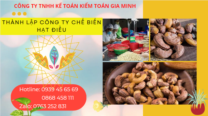 Kinh nghiệm thành lập công ty chế biến hạt điều thành công 