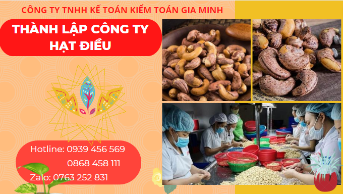 THÀNH LẬP CÔNG TY HẠT ĐIỀU 4 Làm thế nào để bắt đầu thành lập công ty hạt điều