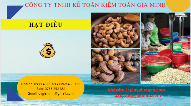 Thành lập công ty kinh doanh bán buôn hạt điều 4 Dịch vụ làm thủ tục thành lập công ty bán buôn hạt điều