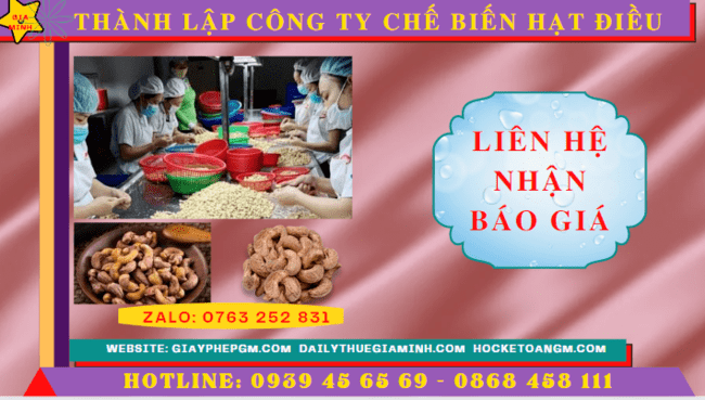 Chi phí trọn gói thành lập công ty chế biến hạt điều 