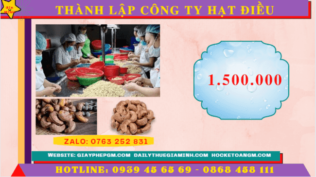 THÀNH LẬP CÔNG TY HẠT ĐIỀU 5 Chi phí trọn gói thành lập công ty hạt điều