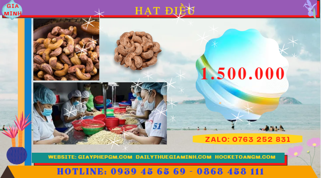 Thành lập công ty kinh doanh bán buôn hạt điều 5 Chi phí dịch vụ thành lập công ty kinh doanh bán buôn hạt điều
