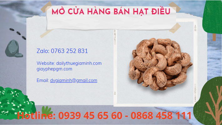 Mở cửa hàng hạt điều cần chuẩn bị những gì?