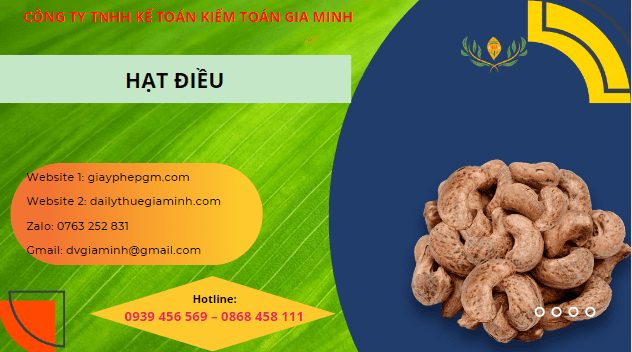 BỔ SUNG NGÀNH NGHỀ KINH DOANH BÁN BUÔN HẠT ĐIỀU 4 Hướng dẫn chi tiết bổ sung ngành nghề bán buôn hạt điều