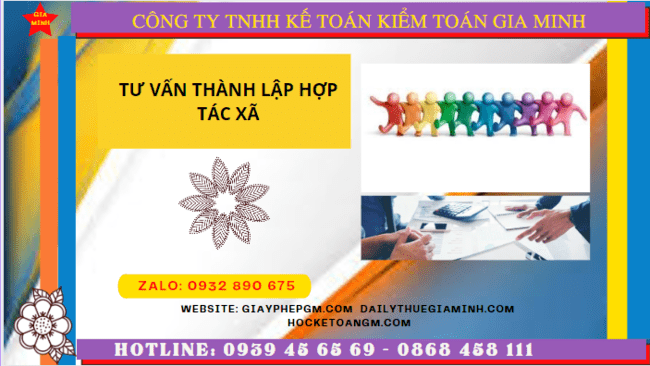 Tư vấn thành lập hợp tác xã tại quận ninh kiều 8 Quy trình thủ tục thành lập hợp tác xã tại TP Cần Thơ