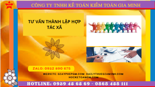 Tư vấn thành lập hợp tác xã tại quận 5 6 Quy trình thủ tục thành lập hợp tác xã tại Quận 5 - TPHCM
