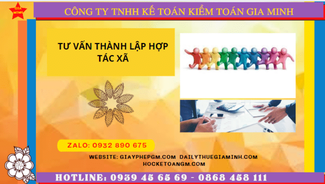 Tư vấn thành lập hợp tác xã tại quận 6 6 Quy trình thủ tục thành lập hợp tác xã tại Quận 6 - TPHCM