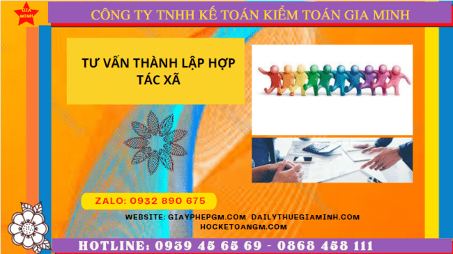Tư vấn thành lập hợp tác xã tại quận 8 8 Quy trình thủ tục thành lập hợp tác xã tại Quận 8 - TPHCM