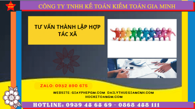 Quy trình thủ tục thành lập hợp tác xã tại Gia Lai