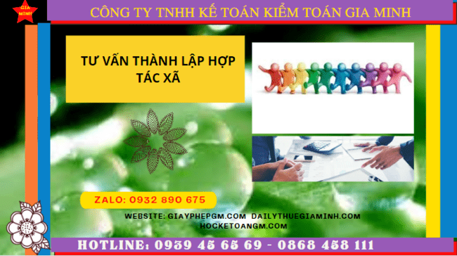 Tư vấn thành lập hợp tác xã tại quận 1 4 Hồ sơ và thủ tục đăng ký thành lập hợp tác xã tại Quận 1