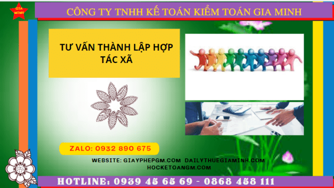 Tư vấn thành lập hợp tác xã tại quận 5 4 Hồ sơ và thủ tục đăng ký thành lập hợp tác xã tại Quận 5 - TPHCM