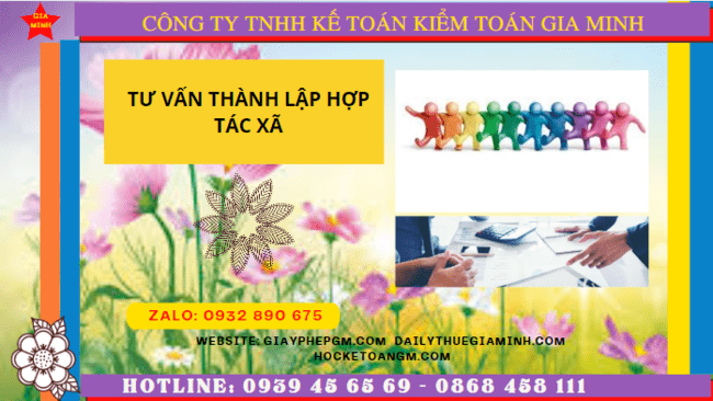 Tư vấn thành lập hợp tác xã tại quận 6 4 Hồ sơ và thủ tục đăng ký thành lập hợp tác xã tại Quận 6 - TPHCM