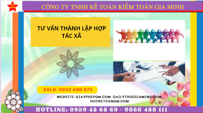 Tư vấn thành lập hợp tác xã tại quận 8 5 Hồ sơ và thủ tục đăng ký thành lập hợp tác xã tại Quận 8 - TPHCM